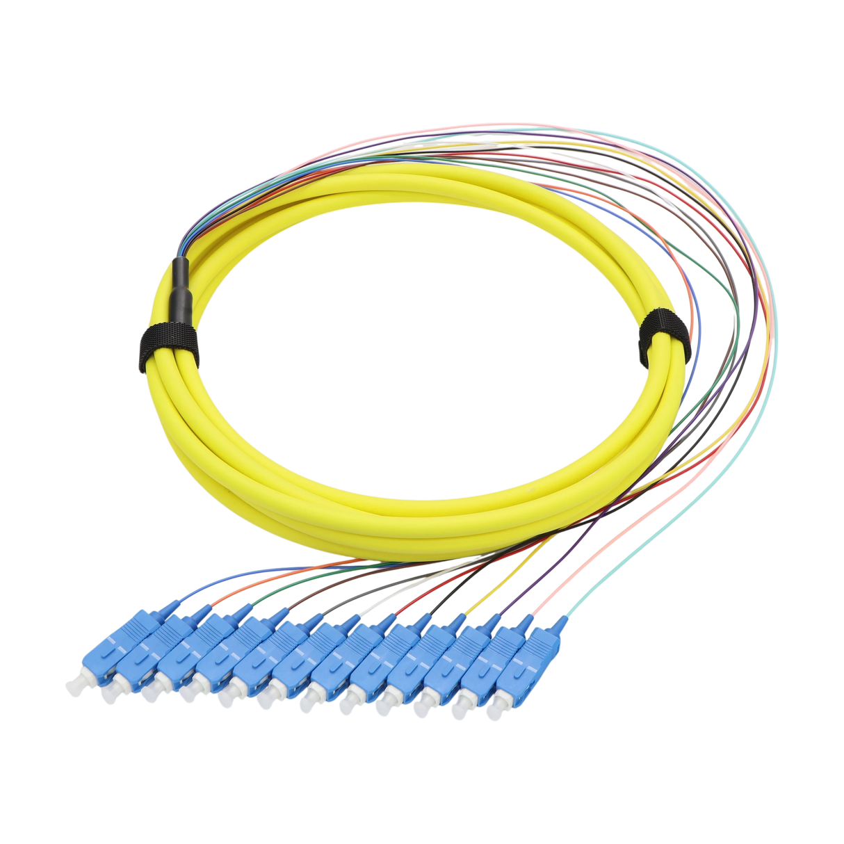 Fiber Pigtail, 12F 12-Color, SC-UPC Simplex to Unterminated, Single-mode OS2, Bundled, PVC Unrated, 0.9mm