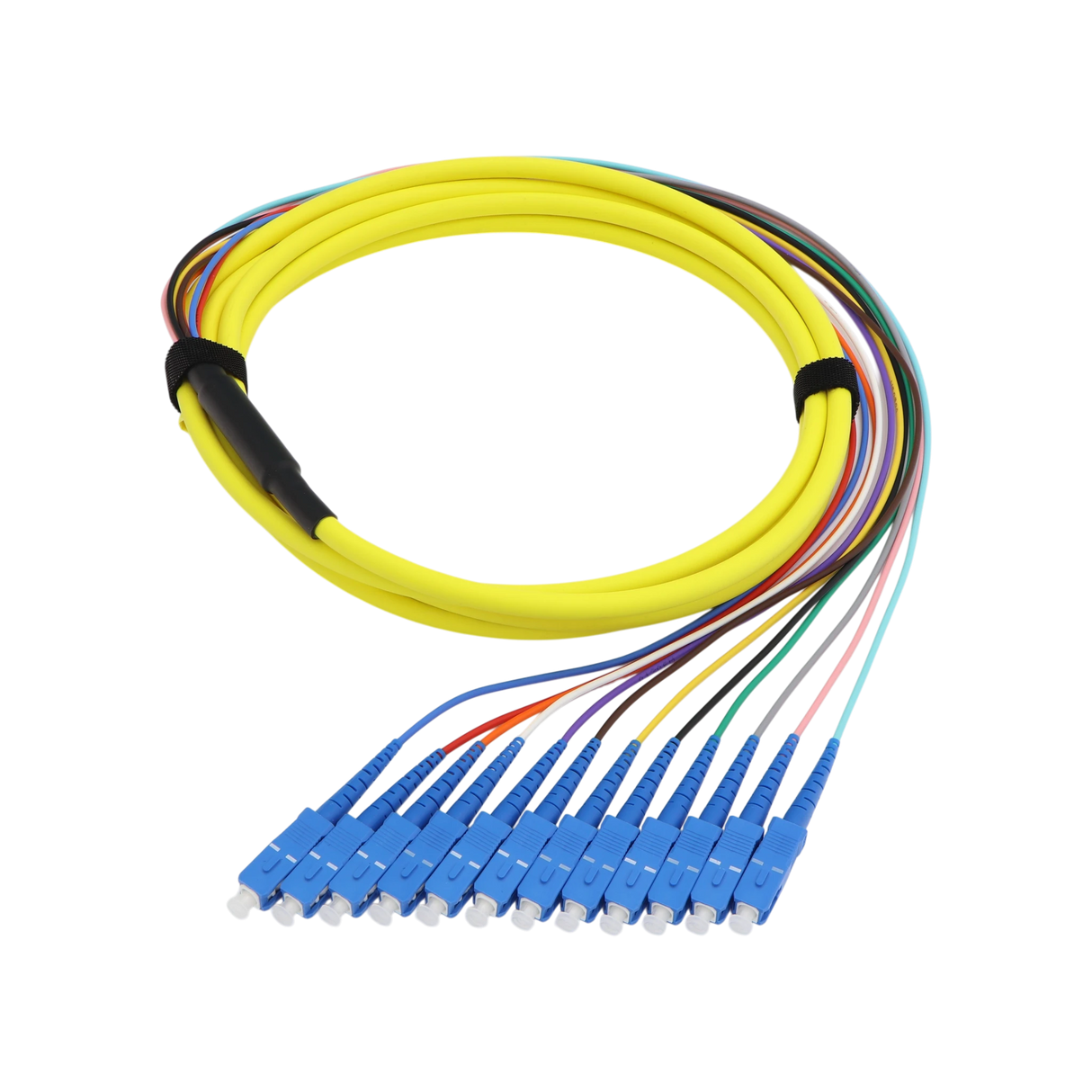 Fiber Optic Pigtail, 12 Strand, bundled, 2mm, SC UPC, OS2