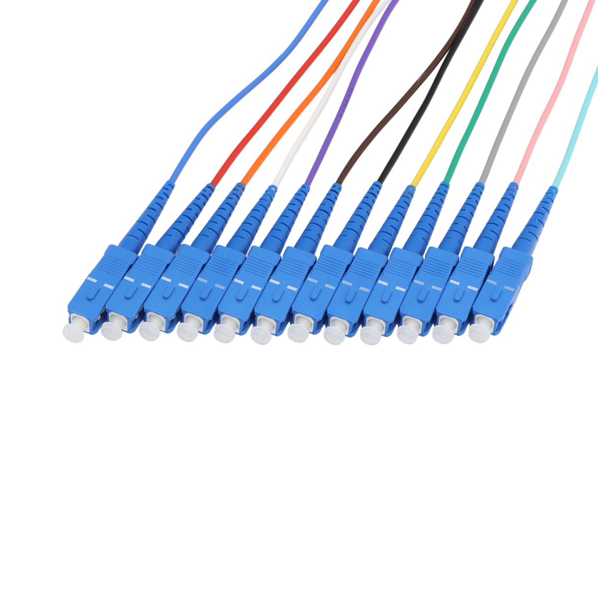 Fiber Optic Pigtail, 12 Strand, bundled, 2mm, SC UPC, OS2