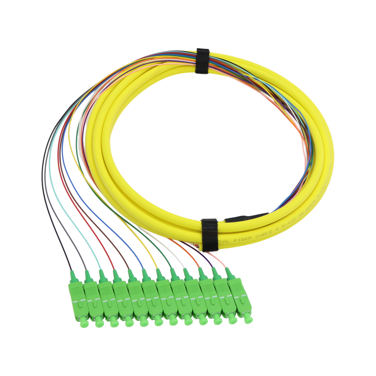 Fiber Optic Pigtail, 12 Strand, bundled, 900um, SC APC, OS2