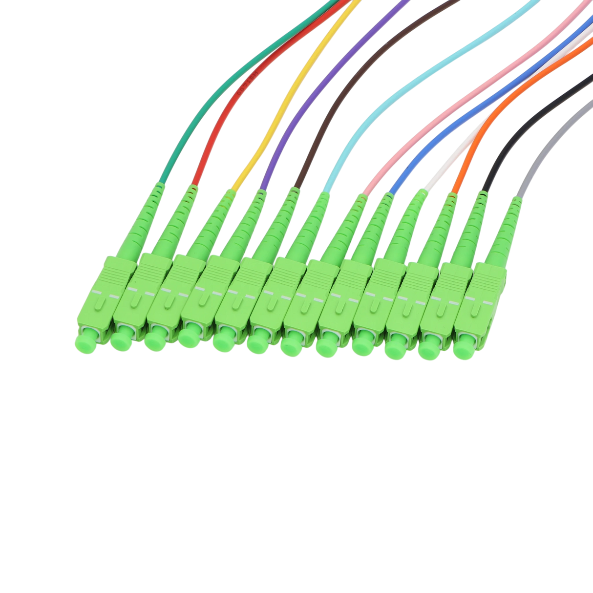 Fiber Optic Pigtail, 12 Strand, bundled, 2mm, SC APC, OS2
