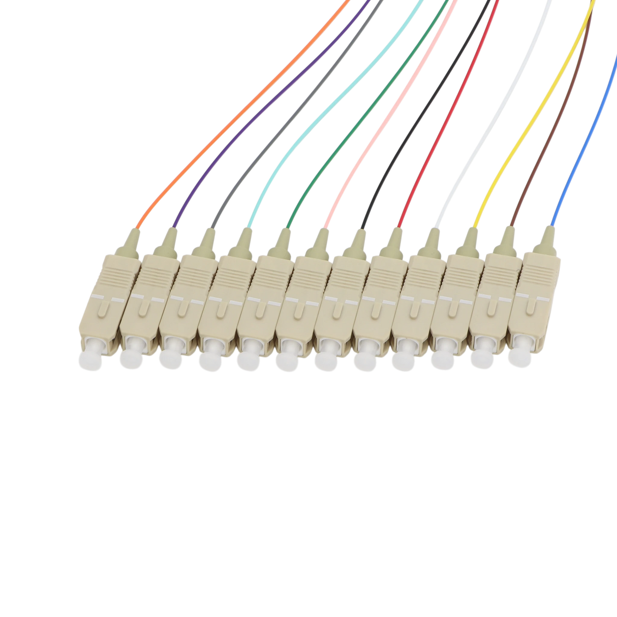 Fiber Optic Pigtail, 12 Strand, bundled, 900um, SC UPC, Multimode OM1
