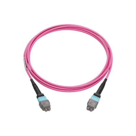 Fiber Optic Patch Cable, MTP Female UPC to MTP Female UPC, Type B, 12f, OM4, Plenum