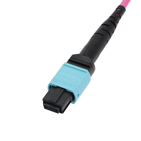 Fiber Optic Patch Cable, MTP Female UPC to MTP Female UPC, Type B, 12f, OM4, Plenum