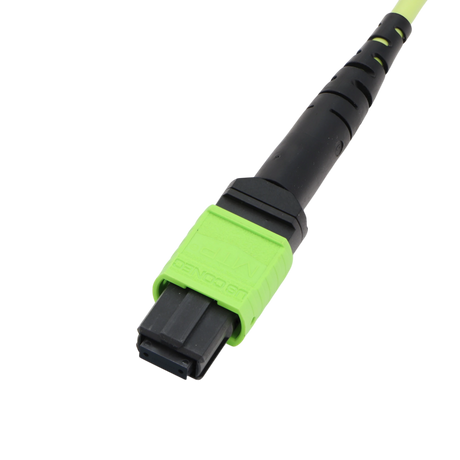 Fiber Optic Patch Cable, MTP Female UPC to MTP Female UPC, Type A, 12f, OM5, Plenum