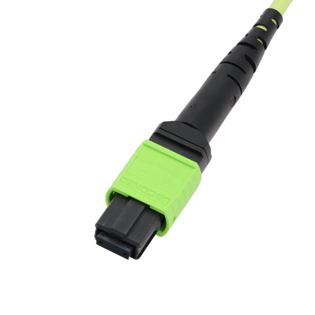 Fiber Optic Patch Cable, MTP Female UPC to MTP Female UPC, Type B, 12f, OM5, Plenum