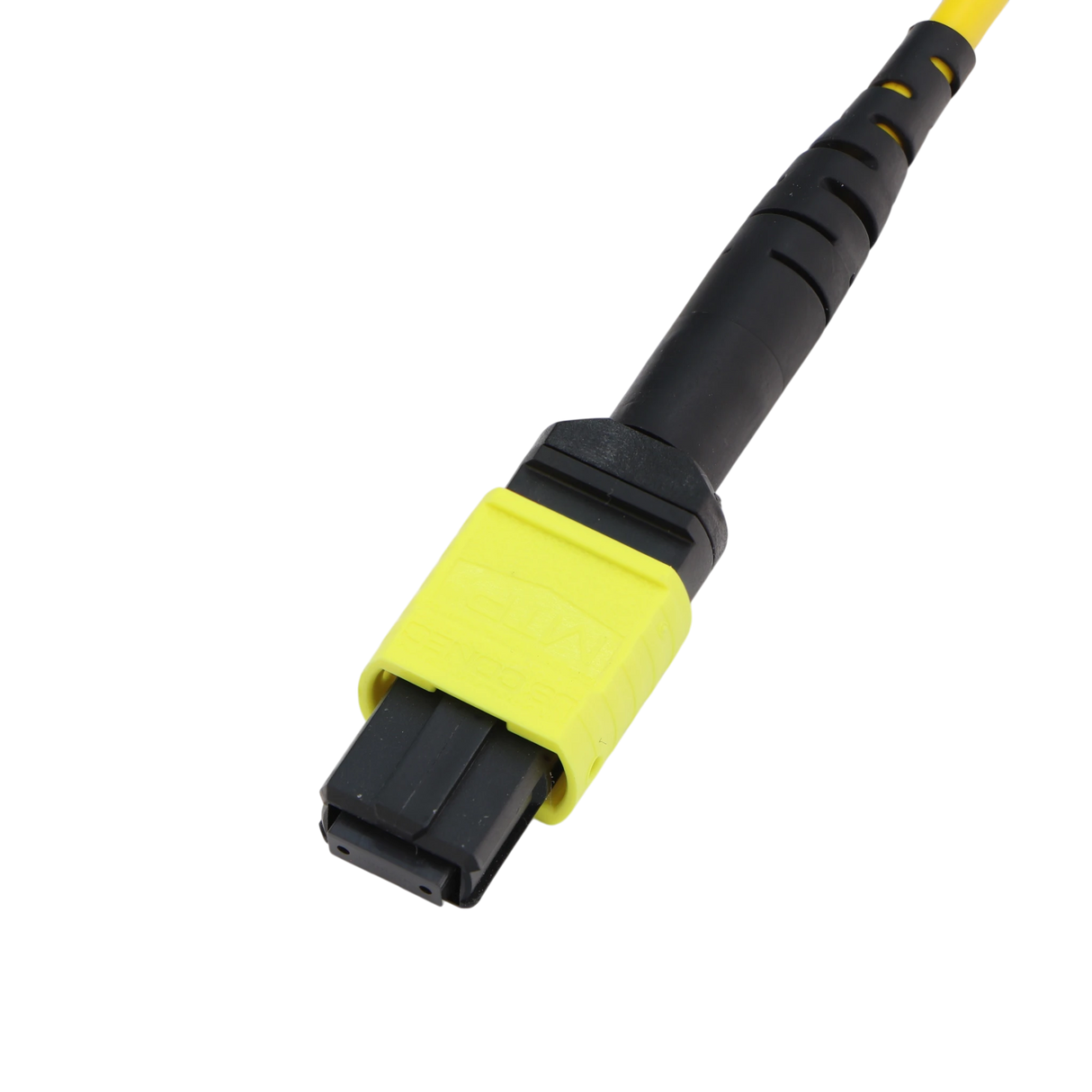 Fiber Optic Patch Cable, MTP Female APC to MTP Female APC, Type A, 12f, OS2, Plenum