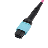 MTP/MPO Fiber Harness Cable, MTP Female APC to 8 x Simplex LC UPC, Type B, 8f, OM4, Plenum
