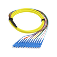 Fiber Optic Pigtail, 12 Strand, bundled, 2mm, SC UPC, OS2