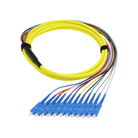 Fiber Optic Pigtail, 12 Strand, bundled, 2mm, SC UPC, OS2