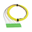 Fiber Optic Pigtail, 12 Strand, bundled, 900um, SC APC, OS2