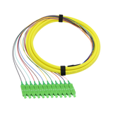 Fiber Optic Pigtail, 12 Strand, bundled, 900um, SC APC, OS2