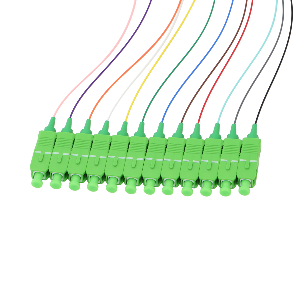Fiber Optic Pigtail, 12 Strand, bundled, 900um, SC APC, OS2