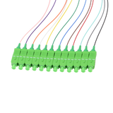 Fiber Optic Pigtail, 12 Strand, bundled, 900um, SC APC, OS2