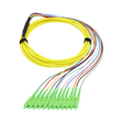 Fiber Optic Pigtail, 12 Strand, bundled, 2mm, SC APC, OS2