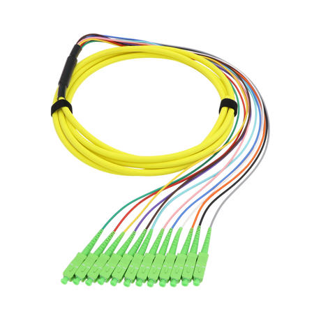 Fiber Optic Pigtail, 12 Strand, bundled, 2mm, SC APC, OS2