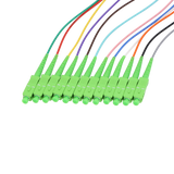 Fiber Optic Pigtail, 12 Strand, bundled, 2mm, SC APC, OS2