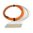Fiber Optic Pigtail, 12 Strand, bundled, 900um, SC UPC, Multimode OM1