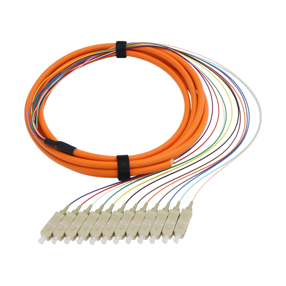 Fiber Optic Pigtail, 12 Strand, bundled, 900um, SC UPC, Multimode OM1