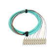 Fiber Optic Pigtail, 12 Strand, bundled, 900um, SC UPC, OM3